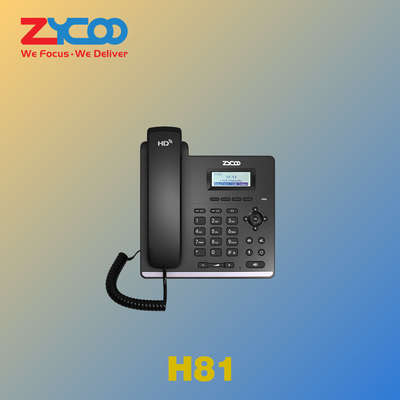 Prise en charge des téléphones de bureau VoIP professionnels à 2 lignes Protocoles RTP/RTCP/SRTP